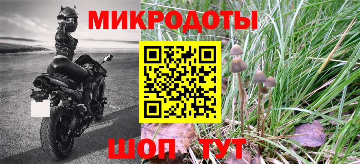 Псилоцибиновые грибы GOLDEN TEACHER  Вход с VPN  наркота  Новокузнецк 