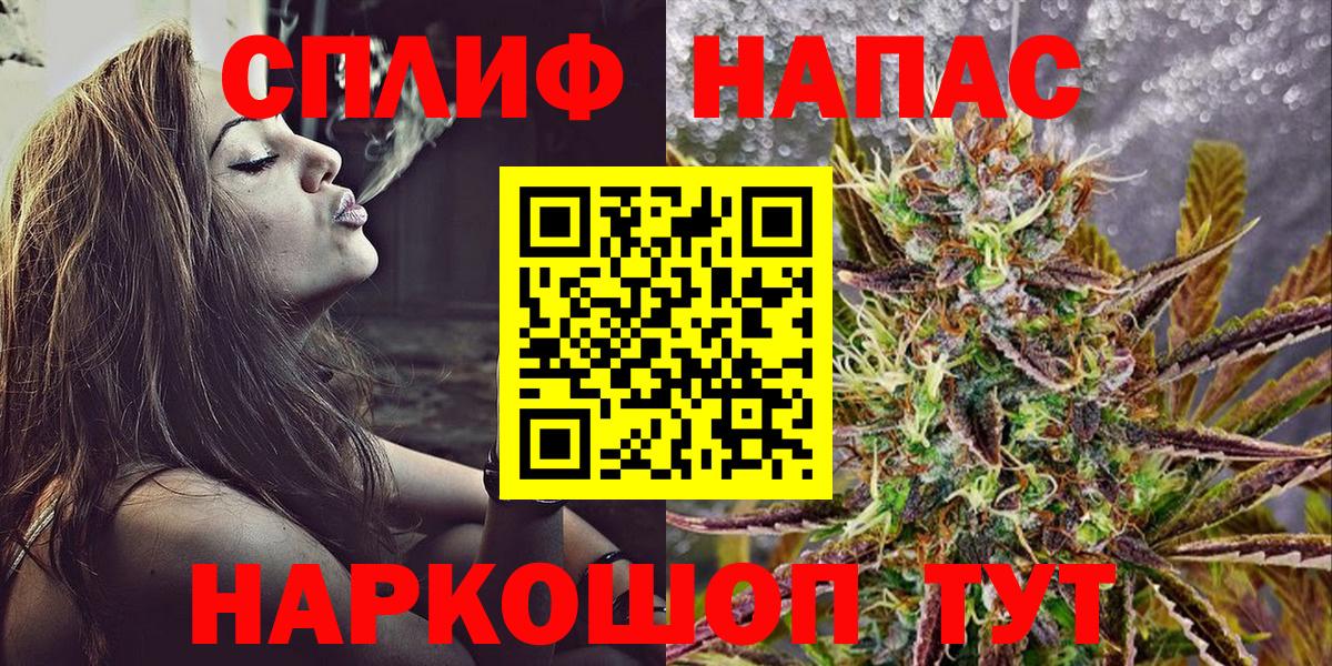 Каннабис план Новокузнецк
